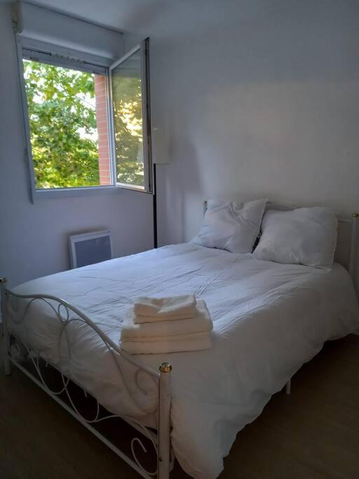 Appartement Cosy Cugnaux Exteriér fotografie